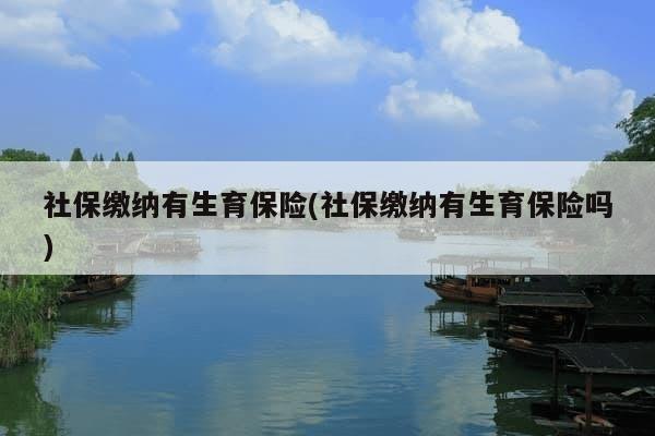 社保缴纳有生育保险(社保缴纳有生育保险吗)